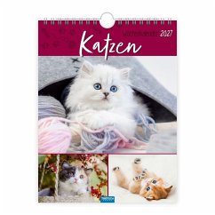 Cover TRÖTSCH - Wochenkalender zum Hängen Katzen 2027