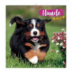 Cover TRÖTSCH - Broschürenkalender Hunde 2027