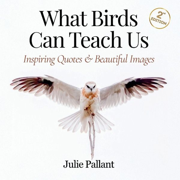 What Birds Can Teach Us What Birds Can Teach Us