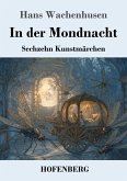 In der Mondnacht