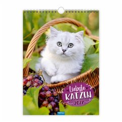Cover TRÖTSCH - Classickalender Liebste Katzen 2027