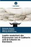 Leptin moduliert die Expression von E-Cadherin und ¿-Catenin im Eierstock Leptin moduliert die Expression von E-Cadherin und ¿-Catenin im Eierstock