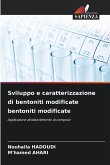 Sviluppo e caratterizzazione di bentoniti modificate bentoniti modificate