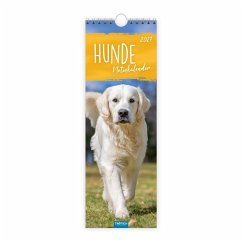 Cover TRÖTSCH - Streifenkalender Hunde 2027 Notizkalender