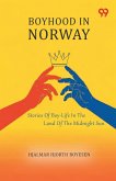 Boyhood In Norway Stories Of Boy-Life In The Land Of The Midnight Sun