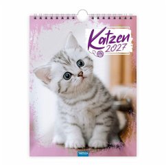 Cover TRÖTSCH - Notizkalender zum Hängen Katzen 2027