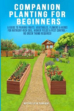Cover Companion Planting For Beginners