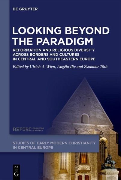 Looking beyond the Paradigm (eBook, ePUB)