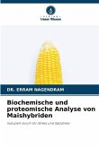 Biochemische und proteomische Analyse von Maishybriden