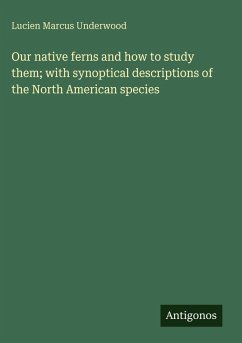 Our native ferns and how to study them; with synoptical descriptions of the North American species - Underwood, Lucien Marcus