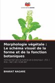 Morphologie végétale : Le schéma visuel de la forme et de la fonction botaniques
