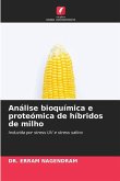 Análise bioquímica e proteómica de híbridos de milho
