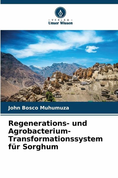 Regenerations- und Agrobacterium-Transformationssystem für Sorghum Regenerations- und Agrobacterium-Transformationssystem für Sorghum