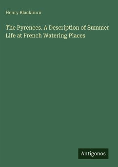 Cover The Pyrenees. A Description of Summer Life at French Watering Places