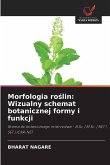 Morfologia ro¿lin: Wizualny schemat botanicznej formy i funkcji
