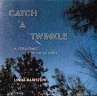 Catch a Twinkle (eBook, ePUB) - Bild 1