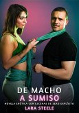 De Macho a Sumiso (eBook, ePUB)