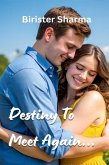 Destiny To Meet You... (eBook, ePUB)