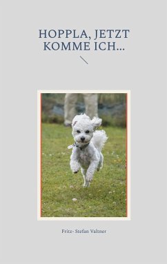 Hoppla, jetzt komme ich... (eBook, ePUB) - Valtner, Fritz- Stefan