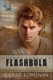 Flashbulb (eBook, ePUB)