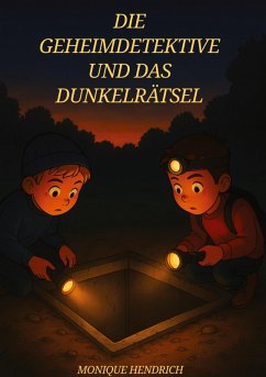 Cover Die Geheimdetektive und das Dunkelrätsel