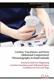 Cavities, Vasculature, and Extra Abdominal Compartment Ultrasonography in Small Animals