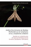 Análisis Discriminante de Medidas Morfométricas de Xylophanes acrus y Xylophanes undatano