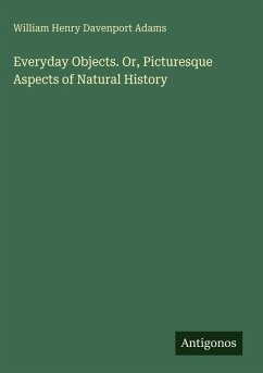 Everyday Objects. Or, Picturesque Aspects of Natural History - Adams, William Henry Davenport