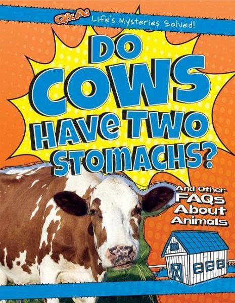 Do Cows Have Two Stomachs?