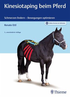 Cover Kinesiotaping beim Pferd