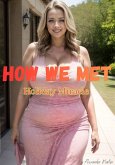 How We Met: Holiday Miracle (eBook, ePUB)