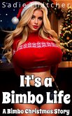 It's a Bimbo Life: A Bimbo Christmas Story (eBook, ePUB)