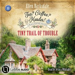Cover Tiny Trail of Trouble (MP3-Download)