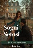 Sogni Setosi in Nuova Inghilterra (eBook, ePUB)