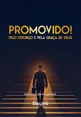 Promovido! Pelo Esforço e Pela Graça de Deus (eBook, ePUB)