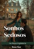 Sonhos Sedosos na Nova Inglaterra (eBook, ePUB)