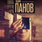 Skvoz' druguyu noch' (MP3-Download)