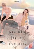 Wie das Salz der See (eBook, ePUB)