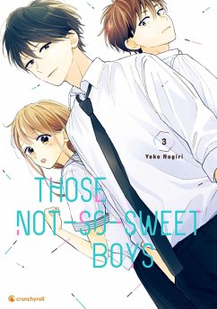 Those Not-So-Sweet Boys - Band 3 (eBook, ePUB) - Nogiri, Yoko