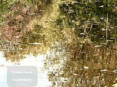 October Pomes (eBook, ePUB) - McSherry, Anthony