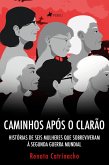Caminhos após o clarão (eBook, ePUB)