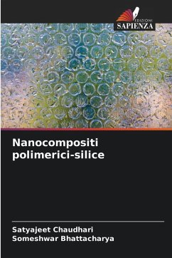 Cover Nanocompositi polimerici-silice