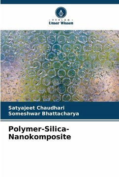 Cover Polymer-Silica-Nanokomposite