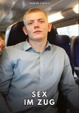Sex im Zug