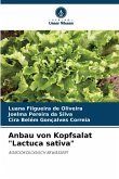 Anbau von Kopfsalat Anbau von Kopfsalat