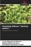 Growing lettuce "lactuca sativa"