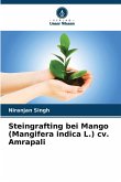 Steingrafting bei Mango (Mangifera indica L.) cv. Amrapali Steingrafting bei Mango (Mangifera indica L.) cv. Amrapali