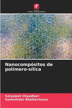 Cover Nanocompósitos de polímero-sílica