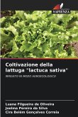 Coltivazione della lattuga Coltivazione della lattuga