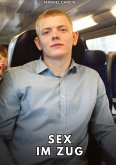 Sex im Zug